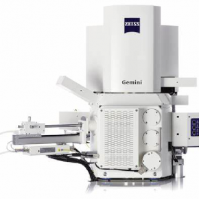 GeminiSEM300